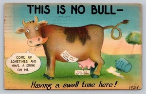 Kein Stier hat Wellenzeit Humor Vintage c1950 Postkarte Hot Springs New Mexico - Bild 1 von 2