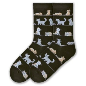 Black Frisky Cats Socks Size 9-11 Lightweight - KBWF16H009-01 - Picture 1 of 1