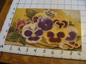 early print: FLOWERS - Picture 1 of 2