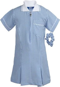 Girl’s School Uniform Pleated Gingham School Dress with Hair Bobble - Picture 1 of 9