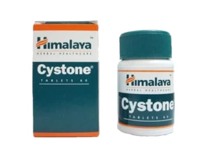 Himalaya Cystone 60 Tab. Entgiftung des Körpers Harnwege Nieren - Bild 1 von 3