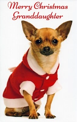 Tarjeta Feliz NAVIDAD PARA NIETA, perro Chihuahua de Stockwell Greetings + ✉ Foto 1 de 4
