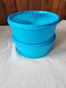 Tupperware Set di Bidoni Impilabili Blu - Foto 1 di 1