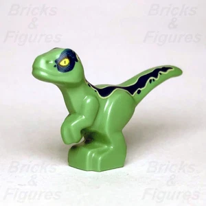 LEGO® Jurassic World Baby Raptor Dinosaur Dark Blue Stripe 30382 75931 75933 - Picture 1 of 3