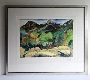 Algraphie Günter Grass " Südliche Landschaft I" handsigniert NEU GALERIERAHMUNG - Bild 1 von 1