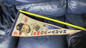 Pennant Chuck Aglio Minnesota Twins - Foto 1 di 8