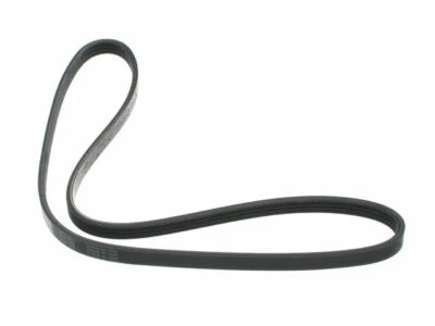 Cinturón multi costilla Mercury Tracer 1988-1989, 1991-1996 53442XW 1992 1993 1994 Foto 1 de 2