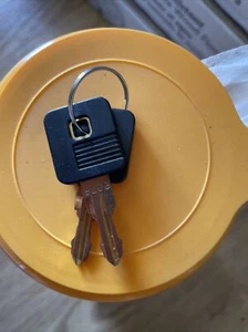 2 NEUE SCHLÜSSEL Werkzeugkiste Truhe Schrankschlösser SCHLÜSSEL # 8203 - Bild 1 von 1