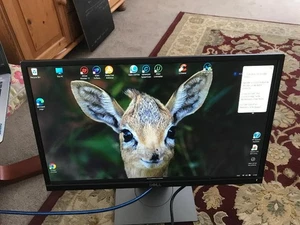 COMPUTER MONITOR DELL 21" - Picture 1 of 2