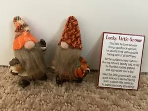 "Ganz Lucky Little Autumn Mini Gnome (SET DI 2) con carta 2 1/2" (5) - Foto 1 di 1
