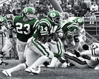 CFL Saskatchewan Roughriders Ron Lancaster George Reed 8 X 10 Photo Picture