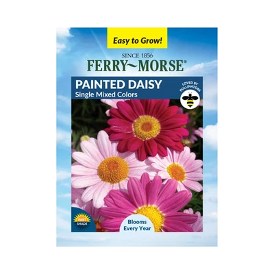 Painted, Daisy Seeds (Chrysanthemum carinatum)- 65+ Seeds - Perennial Flowers US - Image 1 of 4