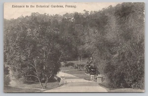 Postal camino de entrada a jardines botánicos, Penang Malasia - Imagen 1 de 2
