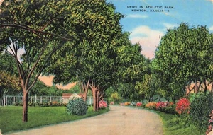 Drive in Athletic Park, Newton, Kansas PC vintage - Foto 1 di 2