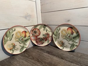3 Williams-Sonoma Botanical Tomato COPIA HEIRLOOM Salad Plates 8 3/4” Crazing - Picture 1 of 7