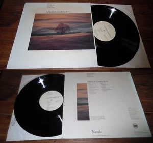 Michael Jones, Gabriel Lee, David Lanz – Narada Sampler #1 LP Ambient Electro - Picture 1 of 1