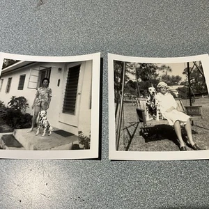 2  Vintage 1963 Snapshot 3.5x3.5 PHOTO WOMAN  & DALMATIAN  DOG - Picture 1 of 4