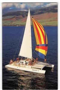 Trilogy Excursions, Lahaina, Maui, Hawaii Sailing Coon Family 1970s Postcard - Picture 1 of 2