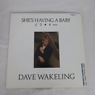 Album vinyle SINGLE PROMO de Dave Wakeling Shes Having A Baby