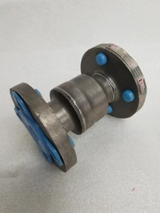 Válvulas DFT CN7N Válvula de retención 1" con brida de acero inoxidable - Imagen 1 de 9