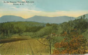 Tryon NC * Nella famosa cintura termica 1920 * Polk Co. - Foto 1 di 2