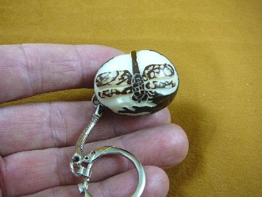 (TNE-DRA-402A) Libélula insecto TAGUA NUT Estatuilla LLAVERO llave estanque insecto Foto 1 de 1