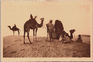 Algeria Camels Desert Vintage Postcard B191 - Picture 1 of 2