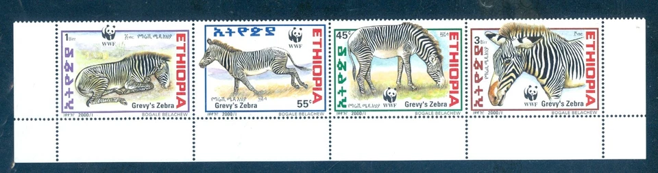 Ethiopia 1303-1306 WWF Zebra, Strip/4 Mint NH - Image 1 of 1