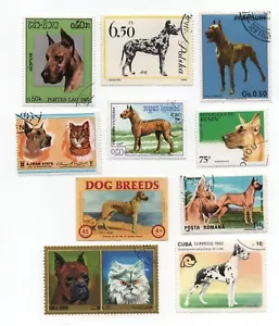 GREAT DANE COLLECTION OF DOG POSTAGE STAMPS FROM VARIOUS COUNTRIES - Foto 1 di 1