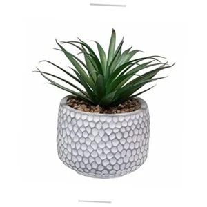 Small Fake Plants in Pot - Artificial Succulents Plant for Desk - Faux Grass - Picture 1 of 7