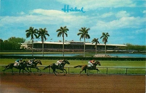 c1950s Hialeah Racecourse - Miami, Florida • Horse Race - Vintage Postcard - Picture 1 of 2