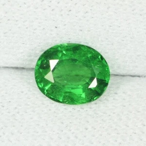 0,76 ct LUSTROSO BONITO VERDE NATURAL TSAVORITA VERDE GRANATE OVALADO Ver Vdo SPL - Imagen 1 de 3