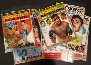 Boxing Illustrated Wrestling News (Jan-Dec 1965) ☆ 11 Issue Lot ☆ ALL POSTERS ☆ - Picture 1 of 24