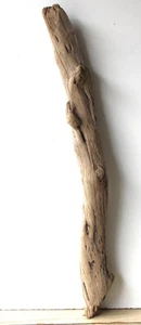 Treibholz Schwemmholz Driftwood  1 XXL Stamm Dekoration Basteln  99 cm - Bild 1 von 15