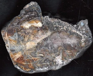Achat/Agate aus Baden-Baden im Schwarzwald - interessanter Druse!!!! - Bild 1 von 1