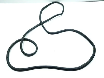 09 11 12 13 14 15 16 17 VW TIGUAN REAR RIGHT PASS DOOR WEATHERSTRIP SEAL OEM - Image 1 of 4