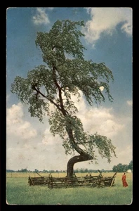 Indian Trail Marker Ulme Lets Explore Ohio, OH - Bild 1 von 2