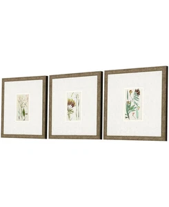 Antik-ähnliche botanische I gerahmte Kunst, 3er Set - grün - Bild 1 von 2