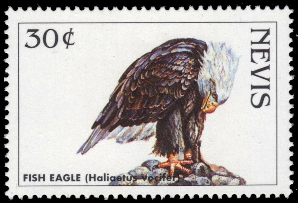 NEVIS 1067 (SG1178) - Águila Pez Africana "Haliaeetus vocifer" (pb49931) Foto 1 de 1