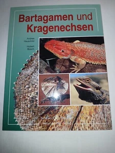 Bartagamen und Kragenechsen - Bild 1 von 2