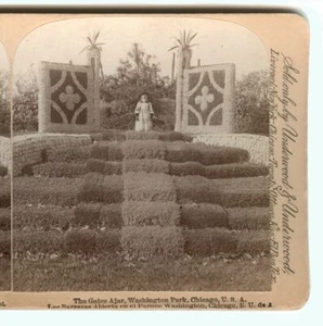 1903 Stereoview Plant Covered Gate, Washington Park, Chicago, Illinois Underwood - Picture 1 of 2