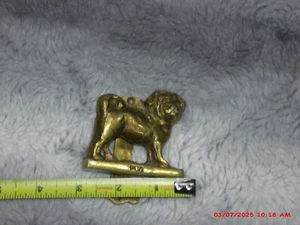 Vinatge Early 20th Century Brass Pug Door Knocker Excellent condition circa 1930 - Picture 1 of 3