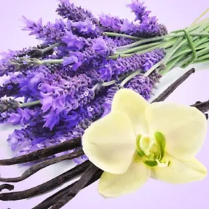 PREMIUM HIGHLY SCENTED REED DIFFUSER REFILLS -Vanilla Patchouli & Sandalwood - Picture 1 of 3