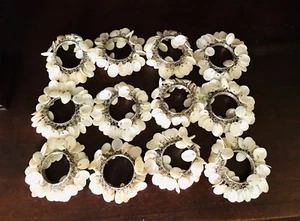 Shell Napkin Rings Set Of 12 Beige Cream - Picture 1 of 12