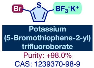 5-Br-Thiophen-2-yl-trifluoroborat (für Forschung und Entwicklung) | CAS: 1239370-98-9 | +98,0% - Bild 1 von 1