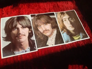 The Beatles White Album Set 3 Photos 8"x 11" Lennon Starr Harrison PHOTOGRAPHS - Picture 1 of 8