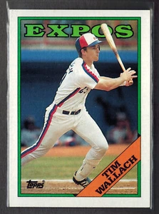 1988 Topps ~ Tim Wallach 560 *Actual Card **Free Same Day Ship - Picture 1 of 4