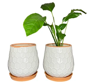 Ceramic Planter Glazed Textured Terra Cotta Flower Pot Drainage & Saucer 6 X 8 - Picture 1 of 11
