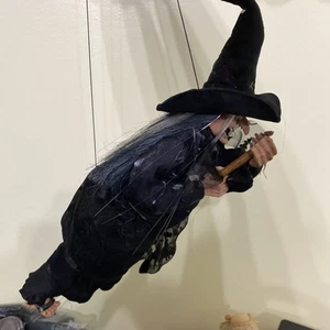 VTG Ganz Fiber Optic Halloween 17” Witch Sounds Laughing Crackling Light up Eyes - Picture 1 of 11