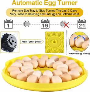 Brutmaschine 30-Eier Vollautomatische Brutkasten Ente Huhn Brutapparat Inkubator